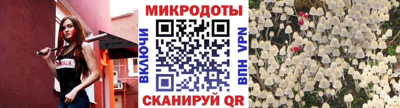 где можно купить Кирсанов Псилоцибиновые грибы мухоморы